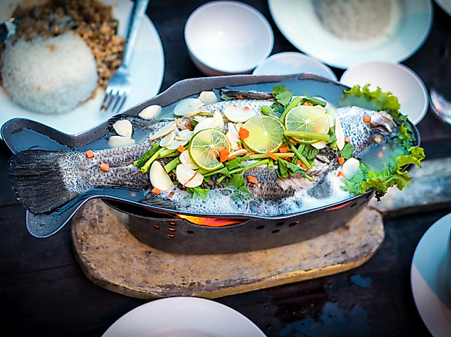 fish_c_arek-socha-pixabay