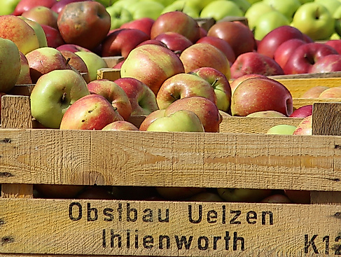 Wochenmarkt auf dem Großneumarkt